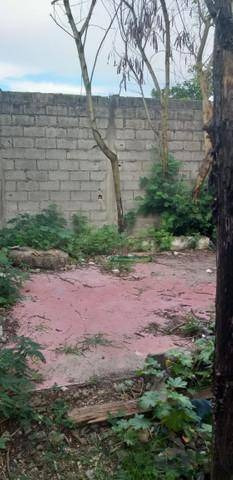 Imagem 1 de 11 de Casa Com 2 Dormitórios À Venda, 80 M² Por R$ 85.000 - Feital - Pindamonhangaba/sp - Ca6066