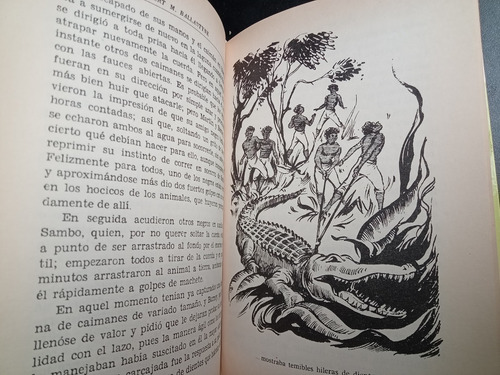 Un Muchacho En Las Selvas Del Amazonas Robert Ballantyne C (Usado)