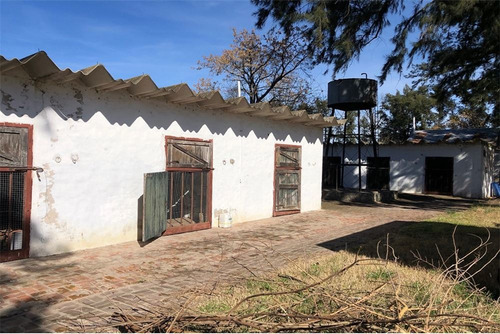 Imagen 15 de 21 de Venta Campo De 195 Ha. En Manzanares Pilar - Único