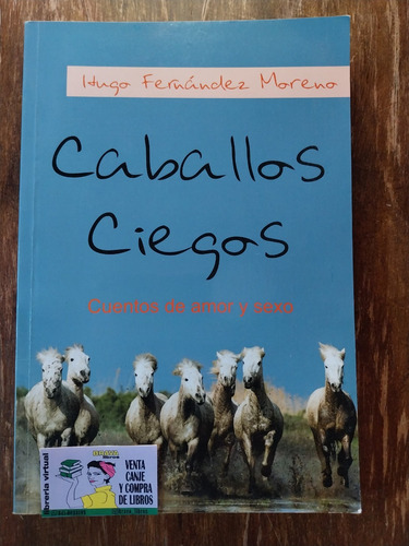 Hugo Fernadez Moreno- Caballos Ciegos