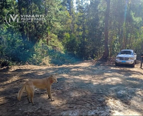 Venta Parcela 5000mts Pichilemu