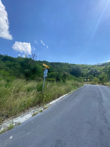 Imagen 4 de 10 de Terreno En Venta, Jardines De Valle Alto, Carretera Nacional