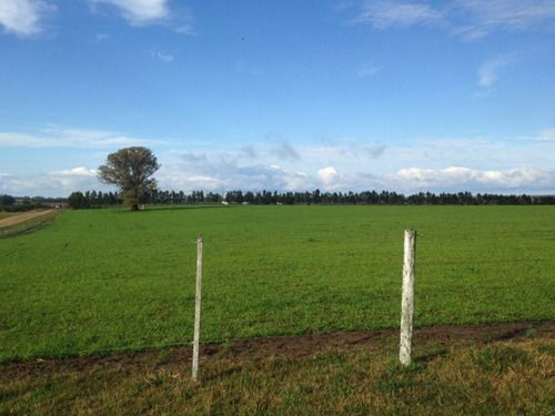 Campo En Maldonado Ref. 4536