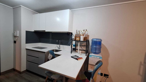 Arriendo Un Ambiente Amoblado Francia 1345 (93383)