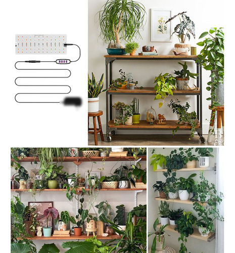 Lámpara Led Quantum Board For Cultivo De Plantas De