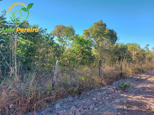 Imagem 5 de 11 de Fazenda À Venda No Vale Do Araguaia - To - 711,48 Hectares (dupla Aptidão) - 1982