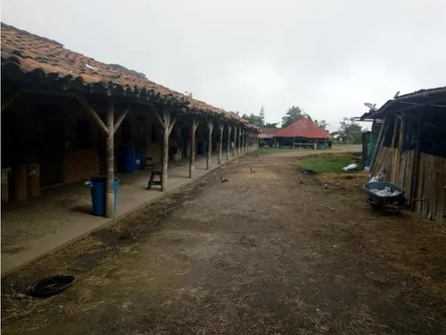 Lote Con Renta En Venta En Alto Tablazo Manizales