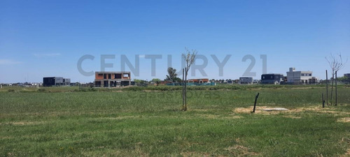 Imagen 5 de 10 de Excelente Lote En Barrio Sebastian Gaboto Dentro De Pueblo Del Plata