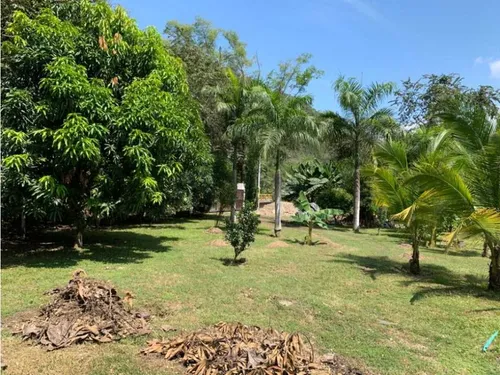 Finca Santa Fe De Antioquia Via A Bolombolo. Se Vende