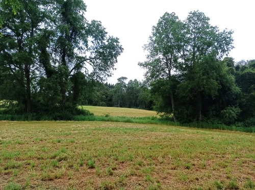 Venta Hermosa Parcela En Sector Rofuco Alto, La Unión