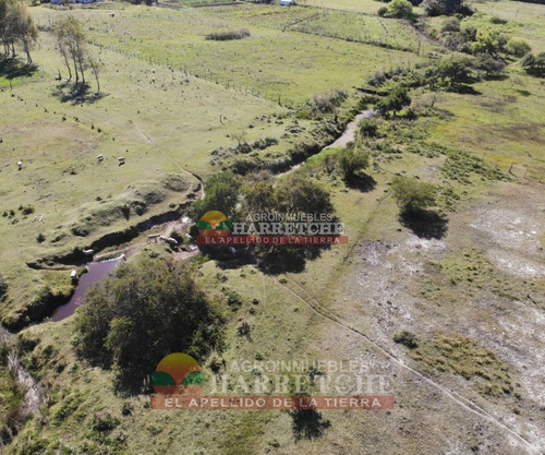 Imagen 9 de 30 de Chacra 5 Has En Venta, Casa 3 Dorm, Cno Gigante