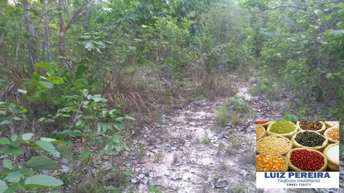 Fazenda À Venda Em Camapuã - Ms - De 830 Hectares (pecuária) - 1568