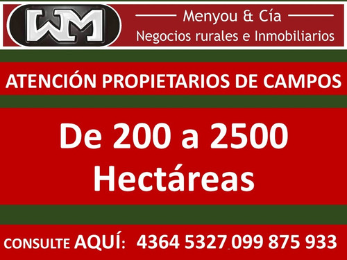 Imagen 6 de 13 de Venta Compra De Campos De 200has A 2500has Forestal Ganadero