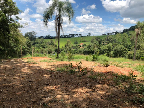 Imagem 3 de 3 de 1.000m2 Pinhalzinho Com Excelente Acesso