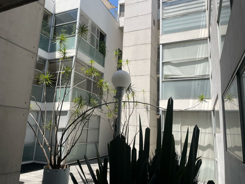 Precioso Departamento San Miguel Chapultepec A 3 Cuadras Del Bosque De Chapultepec