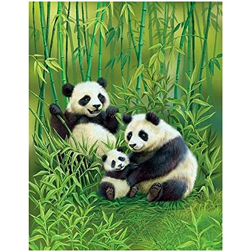 Pintura De Diamantes Cuadrada Completa Panda Grande 11x...