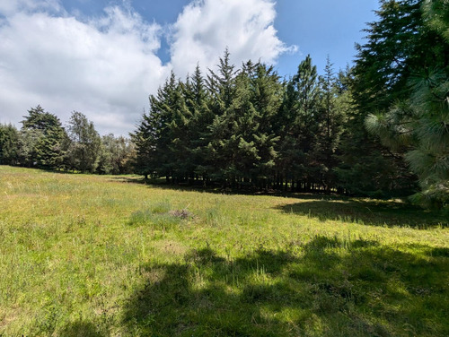Terreno En Venta En Tres Marías