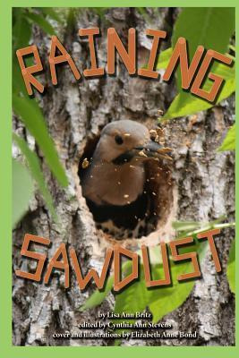 Libro Raining Sawdust - Lisa Ann Britz