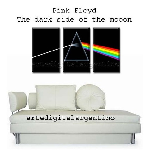 Pink Floyd Cuadro Tríptico Completo Dark Side Pulse Otros