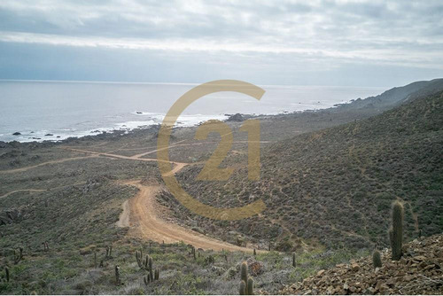 Hermosa Parcela Entre Tongoy Y Los Vilos.