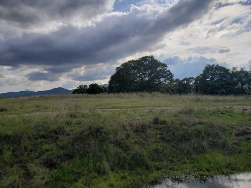 Imagen 10 de 12 de Venta De Terreno En El Palomar, Villa Del Carbón