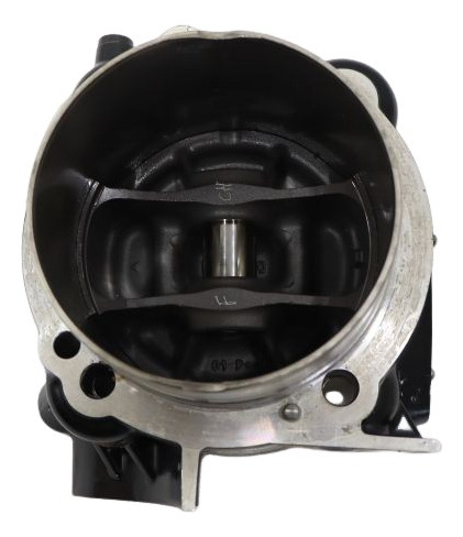 Cilindro F Com Pistão E Anéis Ducati Diavel 1260 S 19-23(8 (Usado)