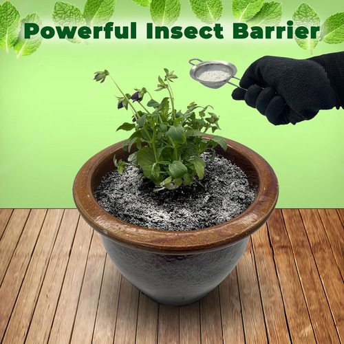 Control Insectos Y Plagas De Menta De Tierra De Diatomeas