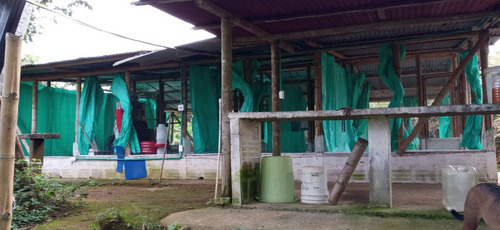 Imagen 6 de 22 de Vendo Finca Bitaco