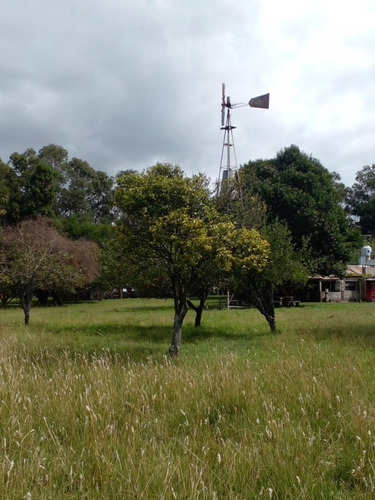 Alquiler De Campo De 4 Hectareas En El Boqueron, Apto Para Cria De Animales