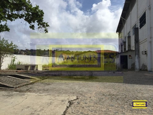 Imagem 5 de 15 de Vendo Em Jardim Jordão 3.240 M², Com Galpão De 1.256 M² Próximo Ao Aeroporto - Gv-0005