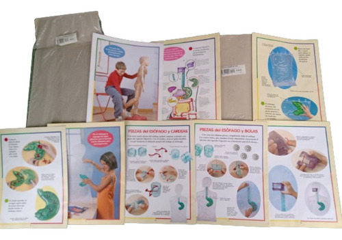 El Cuerpo Humano Colección Revistas Maquetas