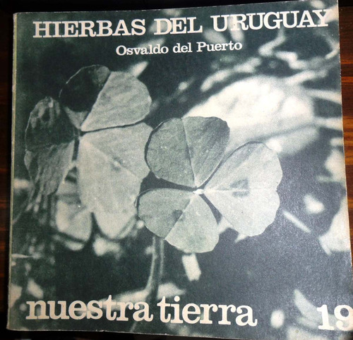 Hierbas Del Uruguay Nª 19