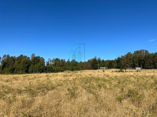 Terreno Plano A 8 Kms Del Centro De Pucon
