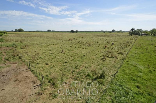 Imagen 3 de 8 de Muy Buen Campo En Venta De 53 Has En Navarro Ruta 47