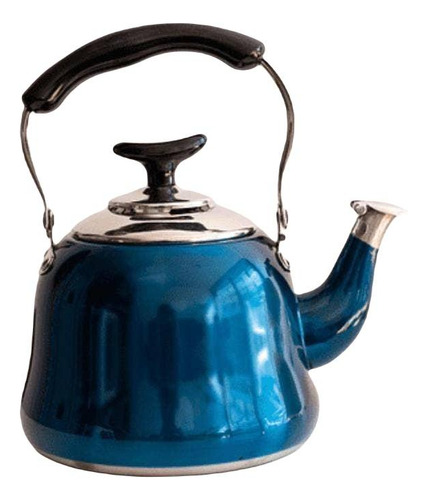 Tetera Acero Inoxidable 1lt Con Filtro Azul