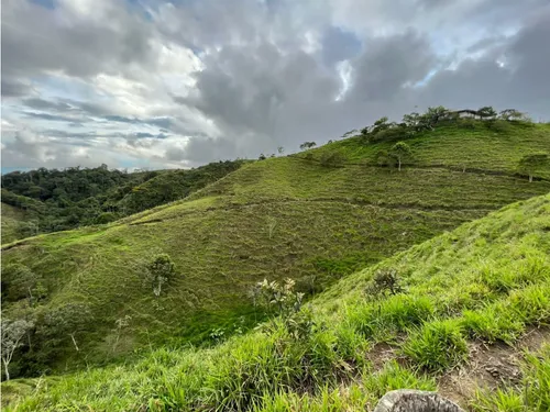 Venta De Finca En Vereda Paramillo, Fresno, Tolima