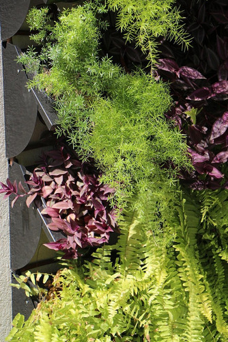Kit Jardim Vertical 7 Módulos + Irrigação