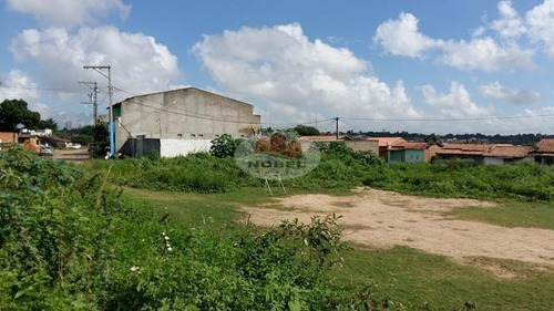 Imagem 6 de 11 de Terreno Localizado(a) No Bairro Parque Lagoa Subae Em Feira De Santana / Feira De Santana - 4613