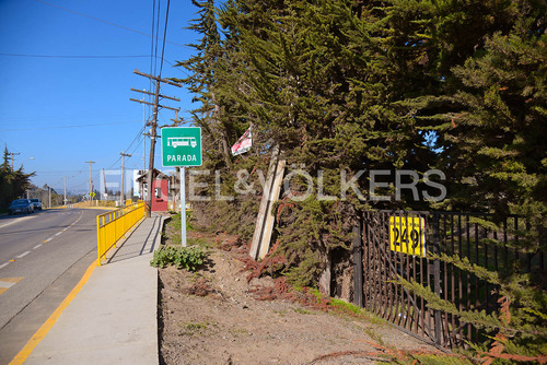 Arriendo Terreno Comercial Las Cruces.