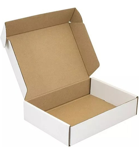 10 Cajas De Carton Autoarmable 23x16x5 Cm
