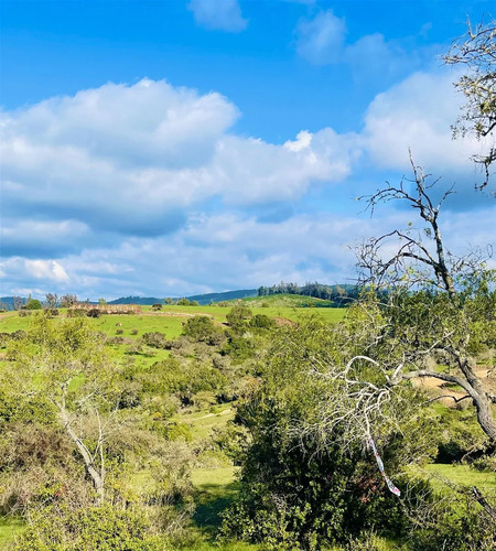 Parcelas En Venta En Vichuquén A Minutos Playa Llico