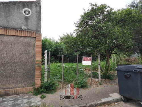 Imagem 5 de 9 de Terreno A Venda Jd Maria Do Carmo Sorocaba Sp - Te-0113-1