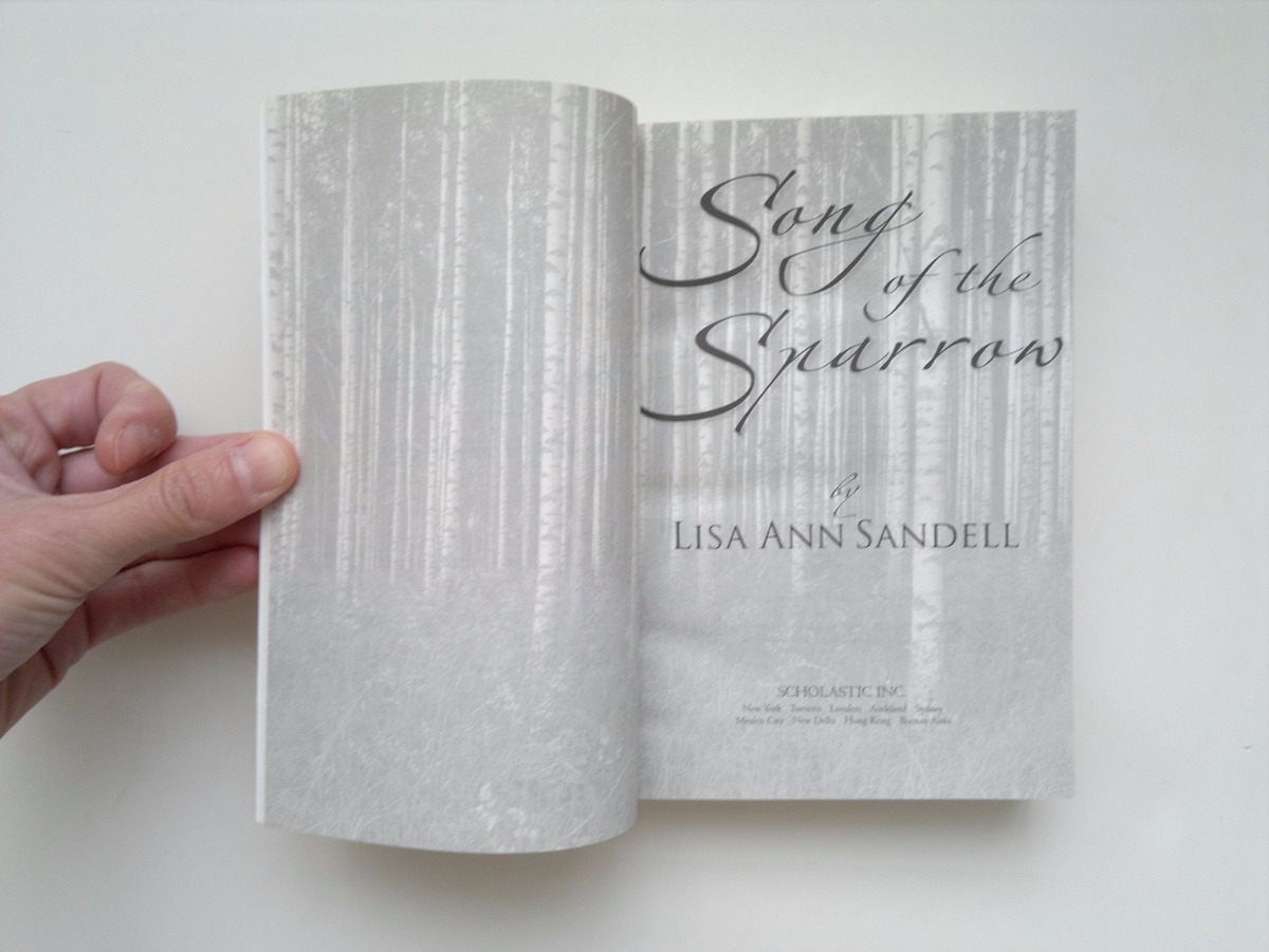 the weight of the sky by lisa ann sandell the weight of the sky by lisa ann sandell