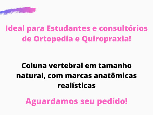 Coluna Vertebral Flexível Tamanho Natural 70cm Profissional