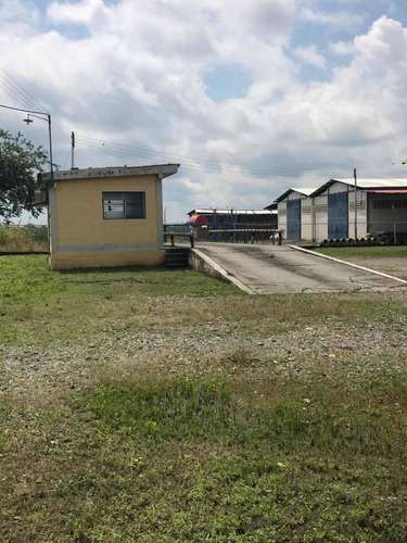 Imagen 17 de 27 de En Venta Finca De 118 Hectáreas , Y Granja Porcina , De 3.5