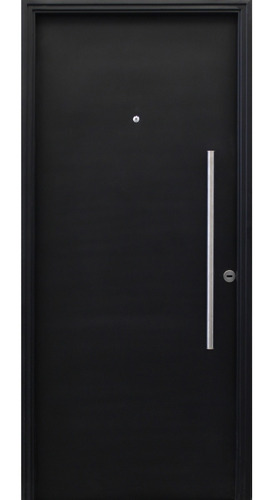 Imagen 2 de 8 de Puerta Chapa Ciega Lisa Negra M1830 Con Barral Largo