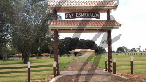 Imagem 18 de 19 de Fazenda - Fa00002 - 69828253