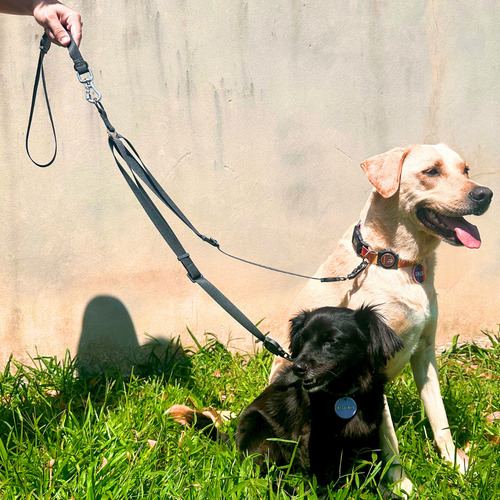 Guia Coleira Dupla E Cinto De Segurança Duplo Para Cães Cor Preto P