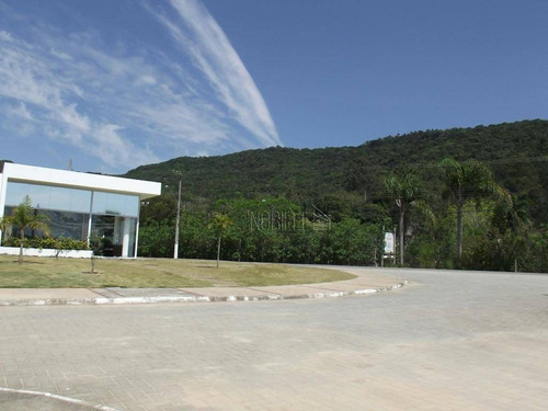 Terreno À Venda, 603 M²- Ratones - Florianópolis/sc - Te0215