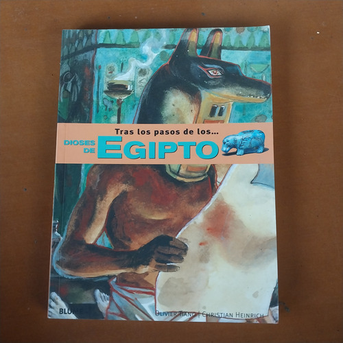 Libro Juvenil Sobre Los Dioses De Egipto